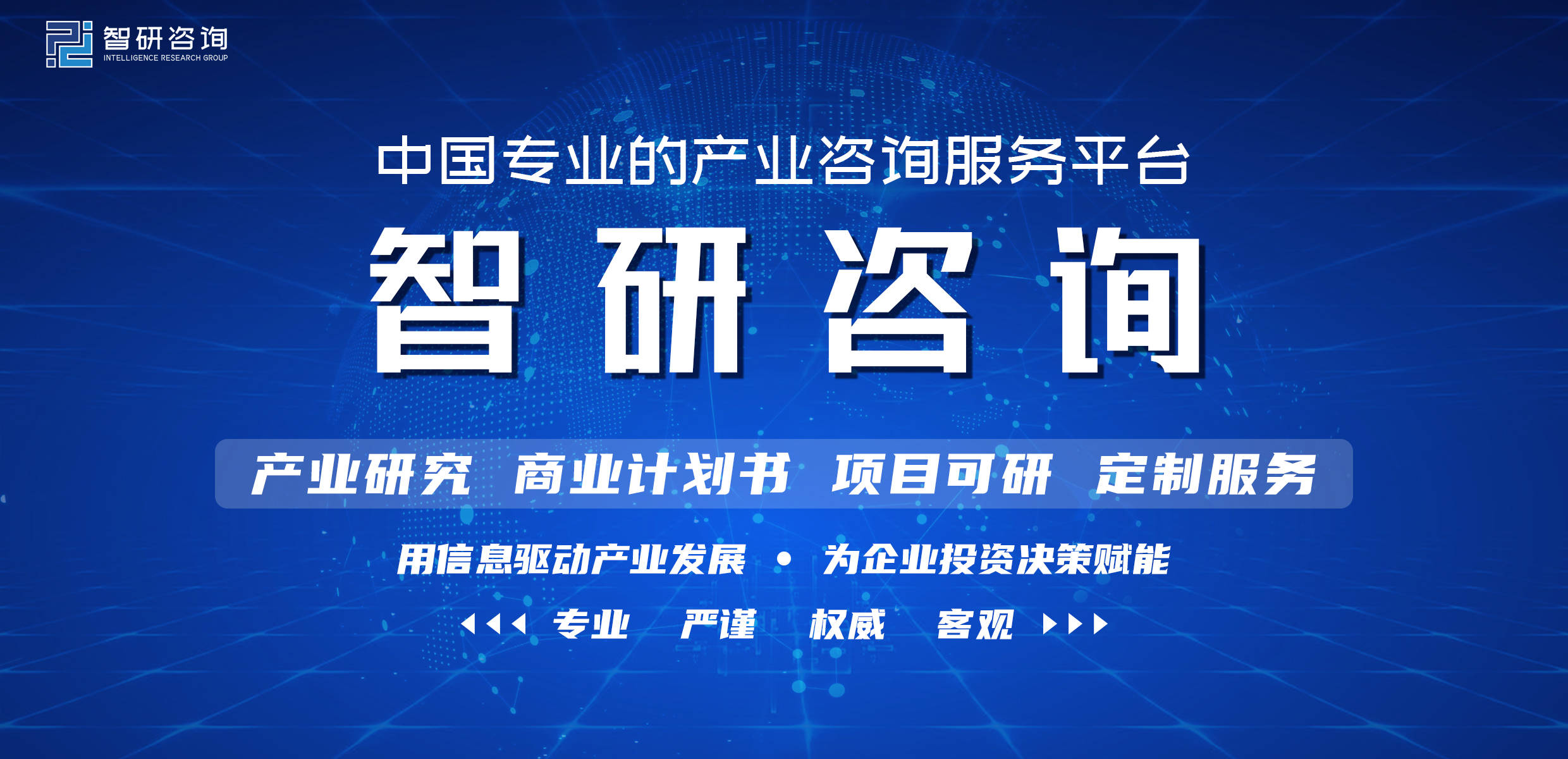 多米体育中国豆浆机行业市场现状调查及投资发展潜力报告(2022-2028)