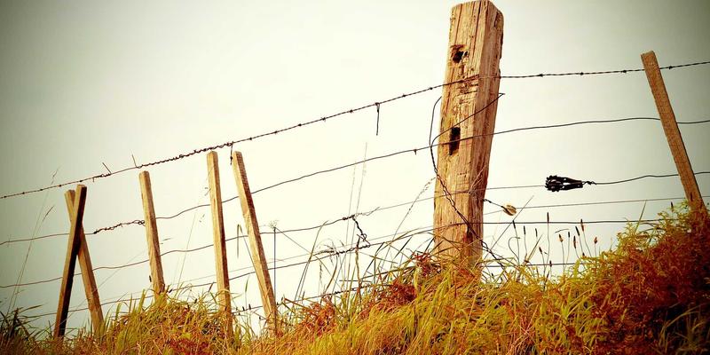 lewin乐玩与英超联赛达成深度数据合作 签约仪式现场图片
